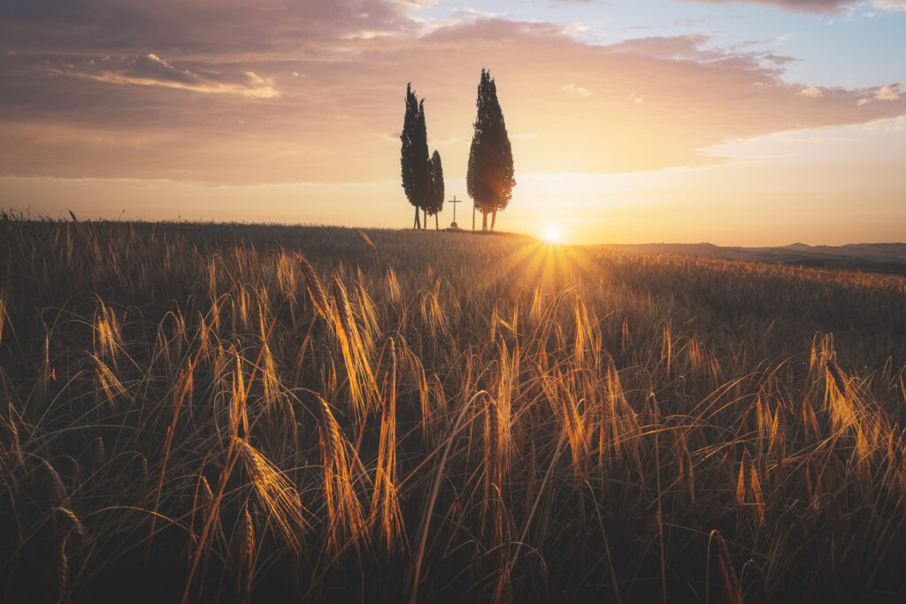 Tuscany Photo Tour